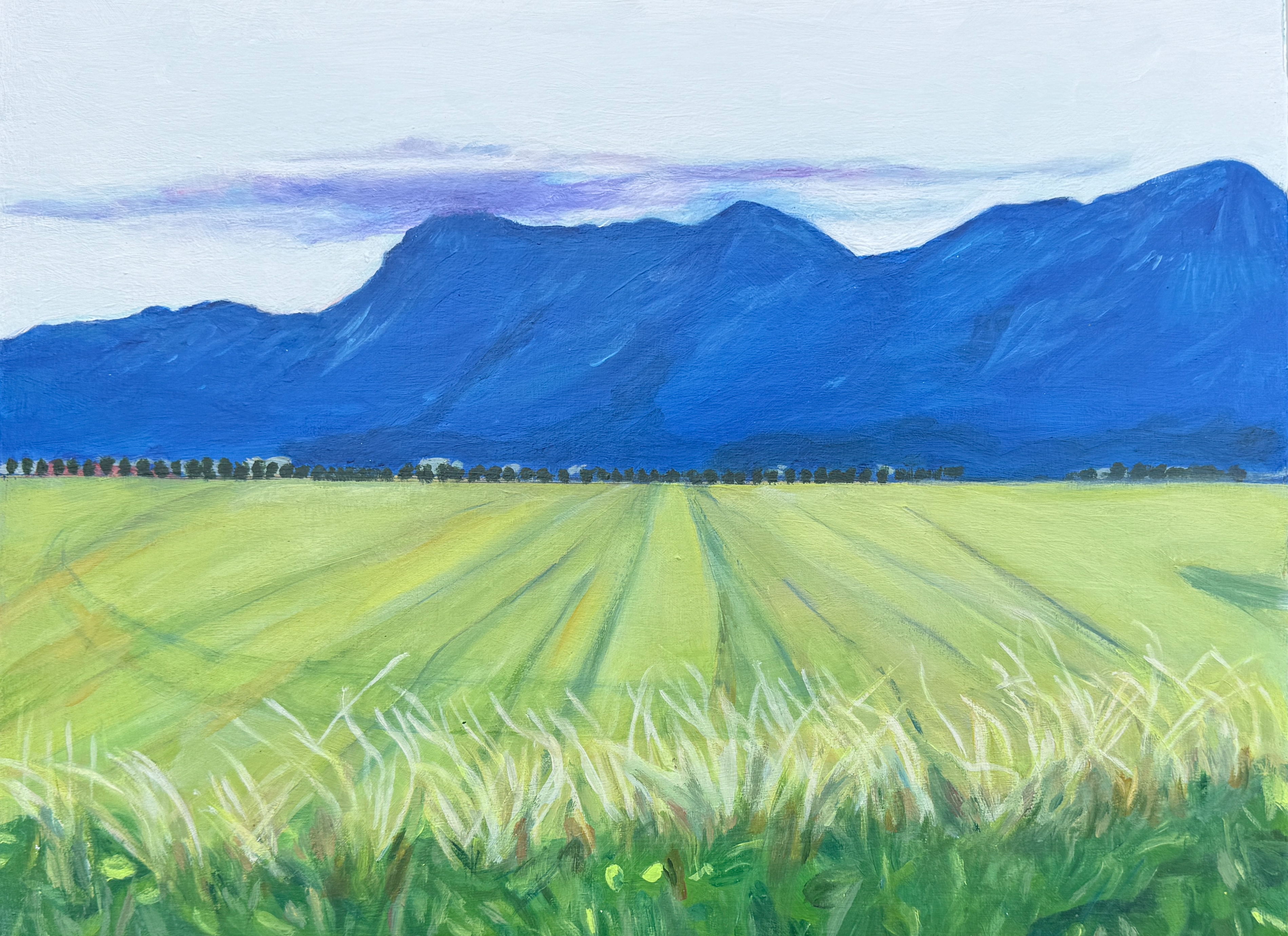 Farmer's Field Fraser Valley, (2025) 15